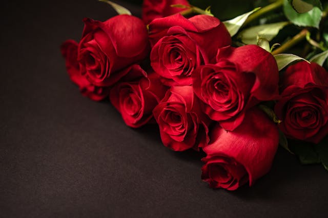 Ruža ako darček na Valentína